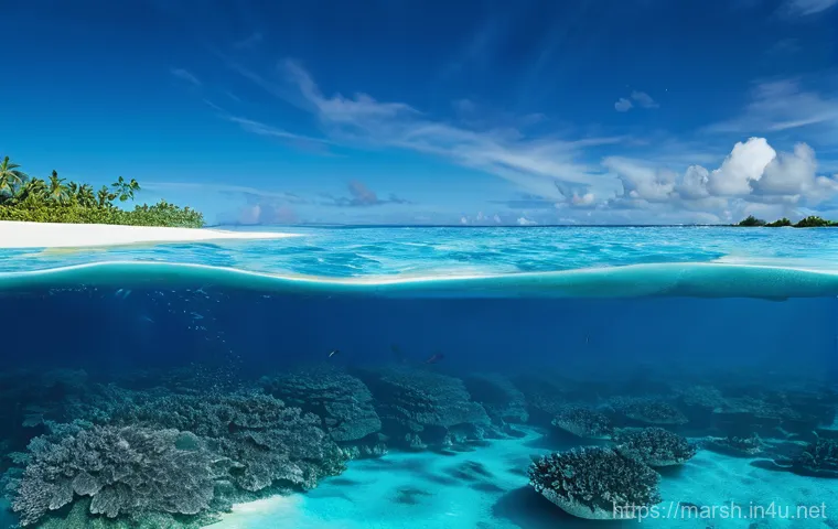 마셜 제도에서의 수산업과 지속 가능성 - A vibrant, hyperrealistic image of an elderly Marshallese fisherman, deeply tanned with kind eyes, t...